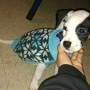 Meet your Posher, Sheila